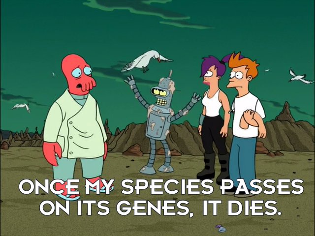 Dr John A Zoidberg: Once my species passes on its genes, it dies.