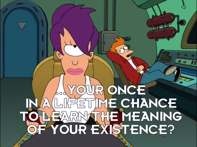 Philip J Fry: ...your once in a lifetime chance to learn the meaning of your existence?