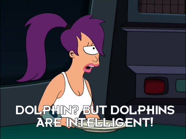 Turanga Leela: Dolphin? But dolphins are intelligent!