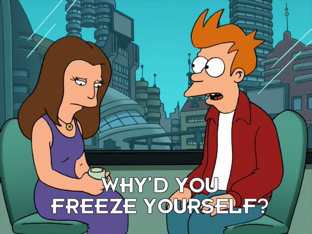 Philip J Fry: Why’d you freeze yourself?